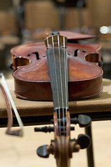 Image showing Violin