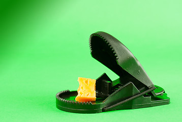Image showing Black plastic mousetrap with bait