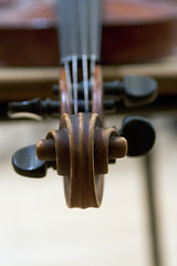 Image showing Violin