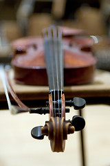 Image showing Violin