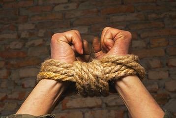 Image showing Hands tied up with rope