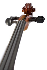 Image showing Violin