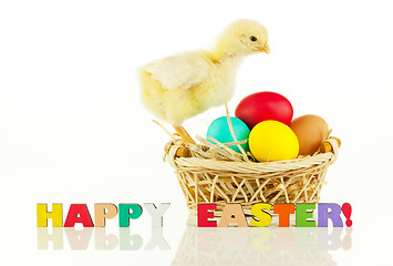 Image showing Basket with the Easter eggs and small chicken