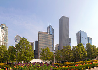 Image showing Chicago cityscape panorama