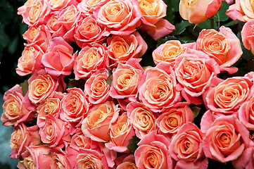 Image showing roses background