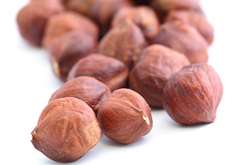 Image showing hazelnut