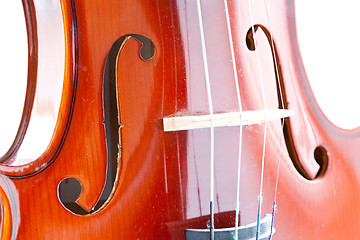 Image showing Violin