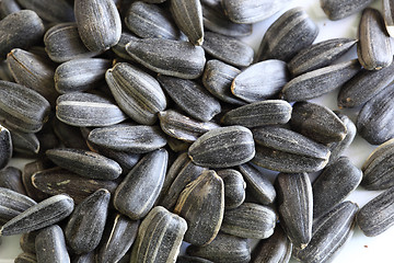 Image showing sunflower seeds 