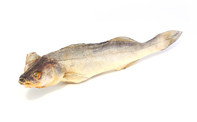 Image showing perch