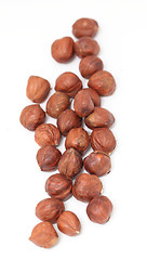 Image showing hazelnut