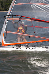 Image showing Sailboarder