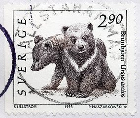 Image showing Bear Cubs Stamp