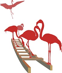 Image showing Flamingos on the ladder