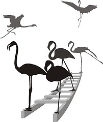 Image showing Flamingos on the ladder in grayscale