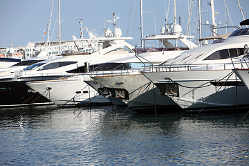 Image showing Row of luxury motorised yachts