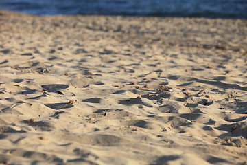 Image showing Beach sand texture