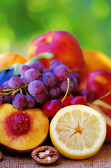 Image showing Slices of lemon and peach, fruits in background