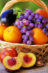 Image showing Basket full of citrus fruits and peaches