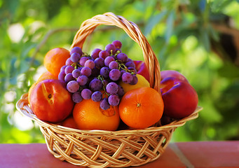 Image showing Citrus fuits and grapes