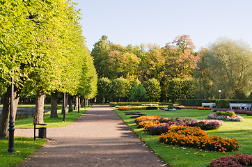 Image showing alley in the Park the morning sunshine 