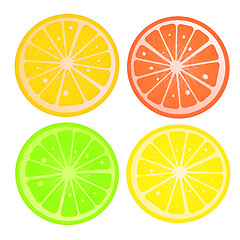 Image showing Citric slices