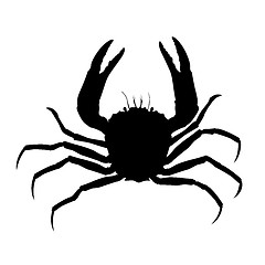 Image showing Crab silhouette