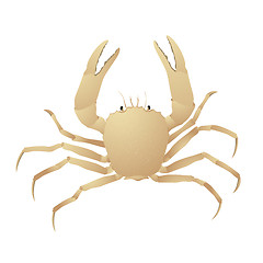 Image showing Crab