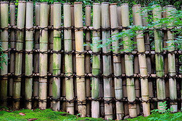 Image showing Bamboo Fence