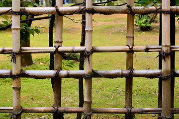 Image showing Bamboo Fence