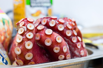 Image showing fresh octopus