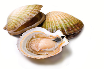 Image showing Seafood: Scallops