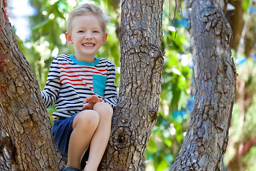Image showing boy at the tree