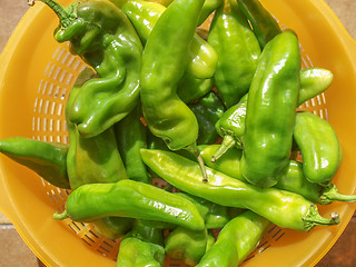 Image showing Green peppers