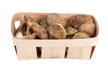 Image showing Wooden basket with shiitake mushrooms