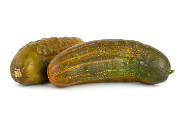 Image showing Two overripe cucumbers