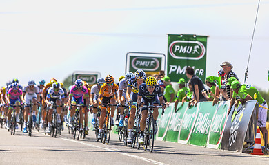 Image showing The Peloton Delayed