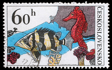 Image showing Stamp printed in Czechoslovakia, shows Datrioides Microlepis and Sea Horse