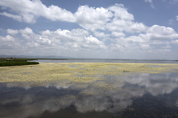 Image showing  flower lake in Sichuan, China