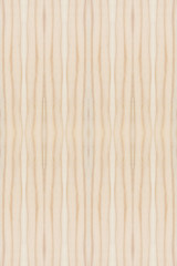 Image showing Wood Texture