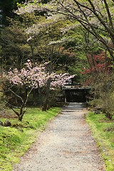 Image showing Park in Japan