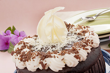 Image showing Mud Cake