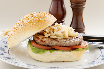 Image showing Hamburger And Onions