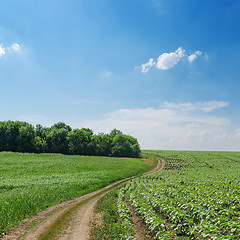 Image showing rural road in green fields and cloudy sky