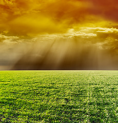Image showing dramatic sky and green field