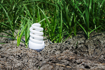 Image showing light bulb between drought land and green grass
