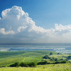Image showing rainy clouds over vineyard
