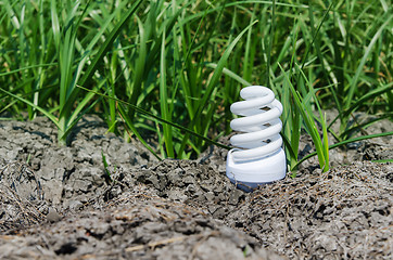 Image showing concept light bulb between drought land and green grass