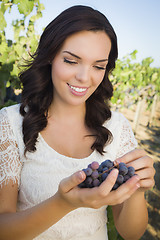 Image showing Young Adult Woman Enjoying The Wine Grapes in The Vineyard