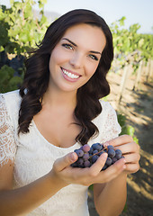 Image showing Young Adult Woman Enjoying The Wine Grapes in The Vineyard