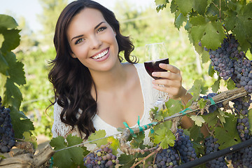 Image showing Young Adult Woman Enjoying A Glass of Wine in Vineyard